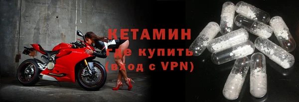 шишки Беломорск