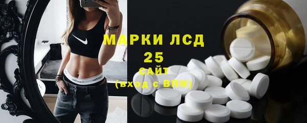 шишки Беломорск