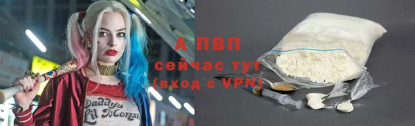ГАЛЛЮЦИНОГЕННЫЕ ГРИБЫ Белоозёрский