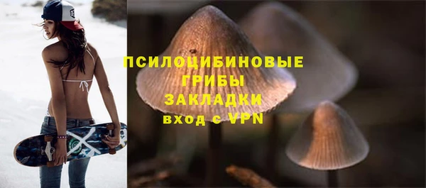 шишки Беломорск