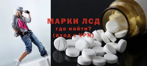 шишки Беломорск