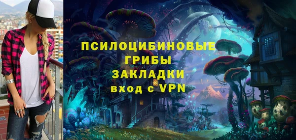 ГАЛЛЮЦИНОГЕННЫЕ ГРИБЫ Белоозёрский