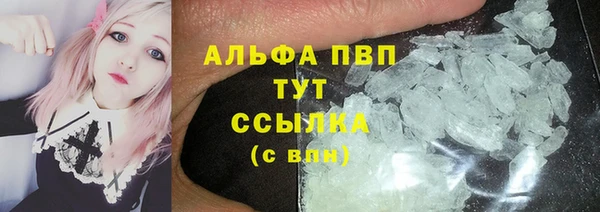 шишки Беломорск