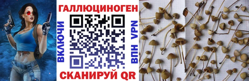 как найти наркотики  Очёр  Галлюциногенные грибы прущие грибы 